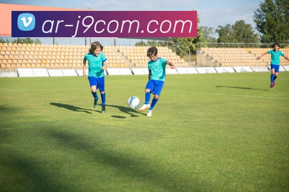 J9COM公司官网平台生态图